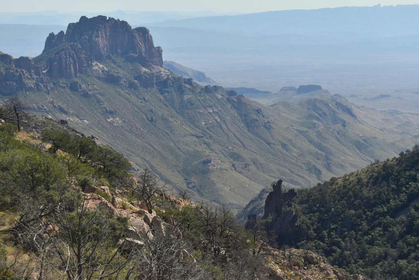 US15 0916 19 Chisos Basin, Big Band NP, TX