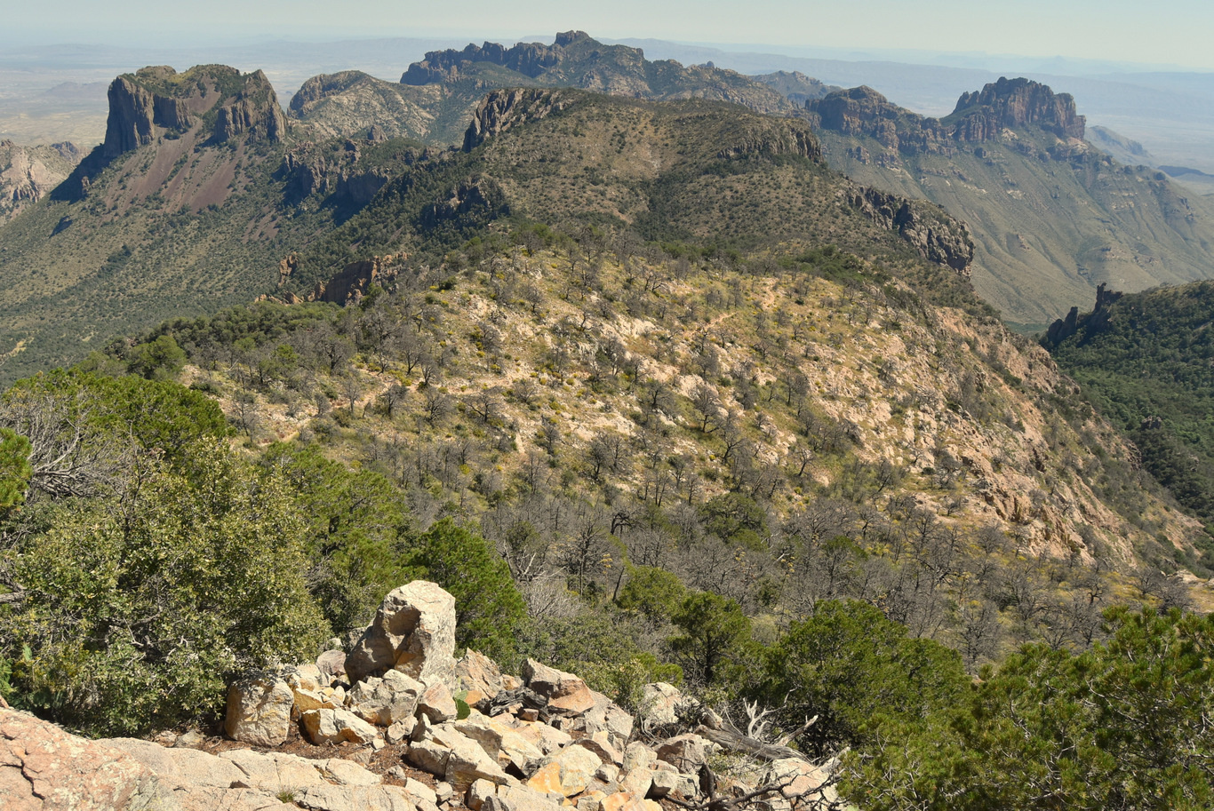 US15 0916 23 Chisos Basin, Big Band NP, TX