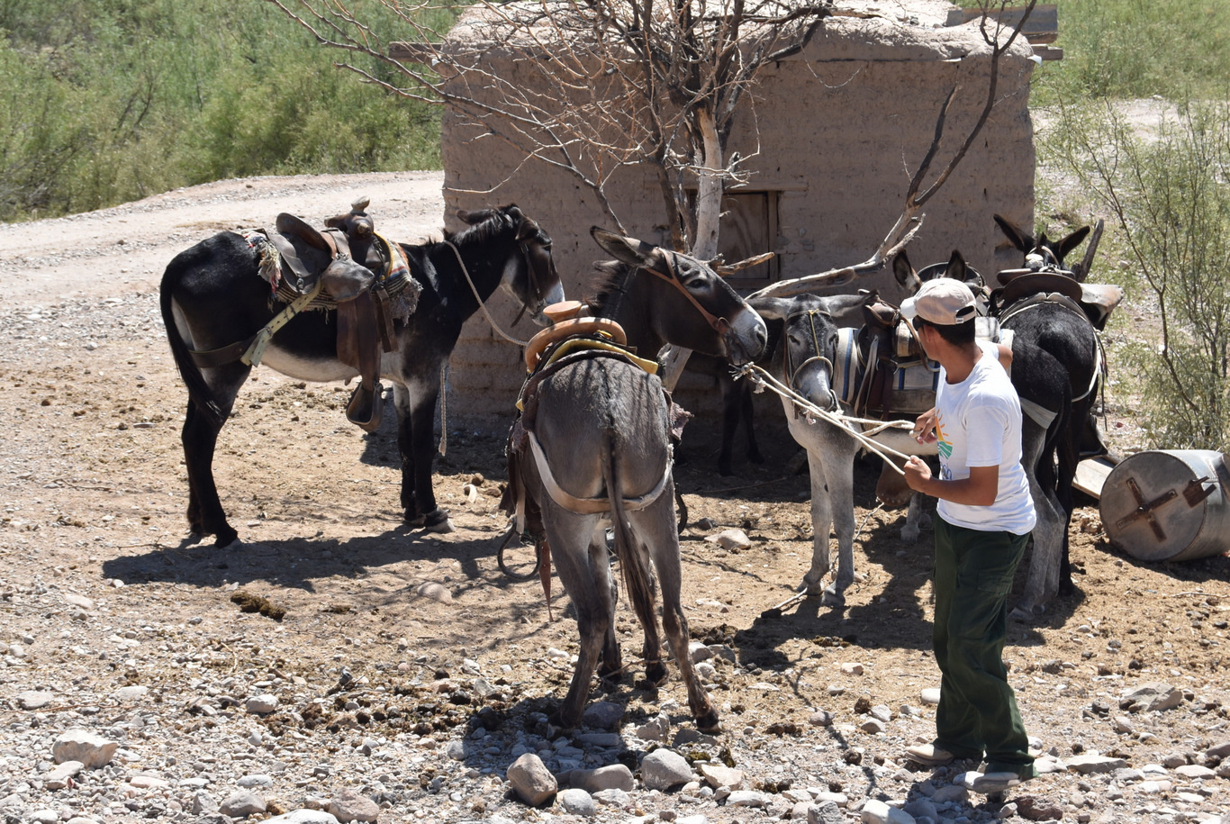 US15 0917 114 Boquillas Del Carmen, Mexico