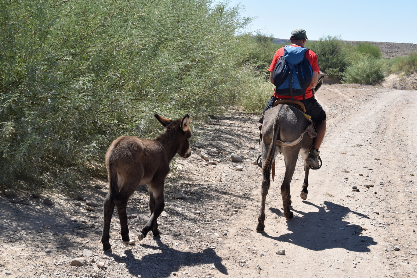 US15 0917 120 Boquillas Del Carmen, Mexico