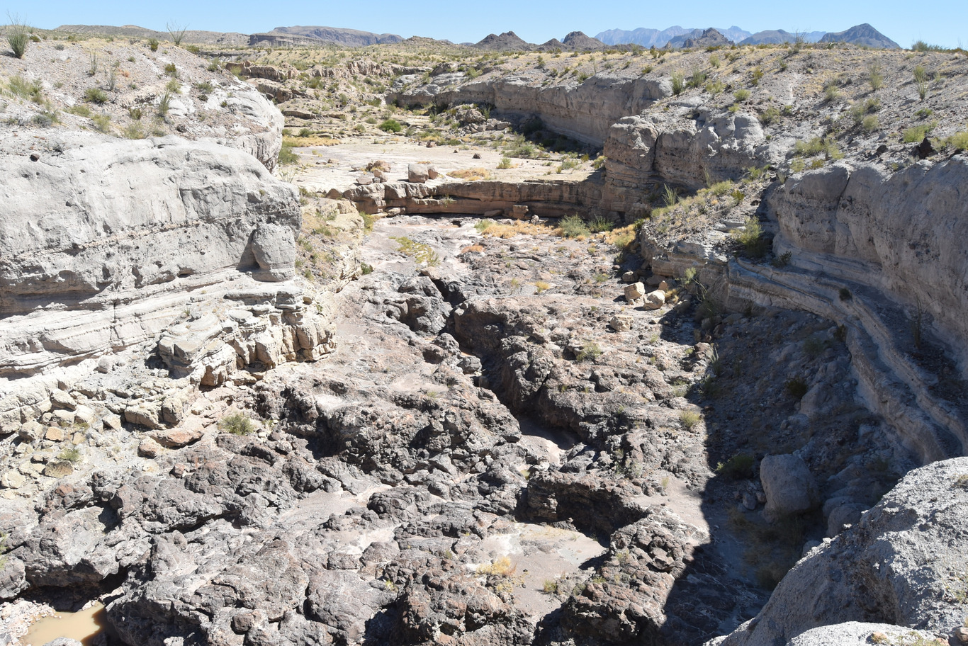 US15 0918 02 Ross Maxwell Scenic Drive, Big Bend NP, TX