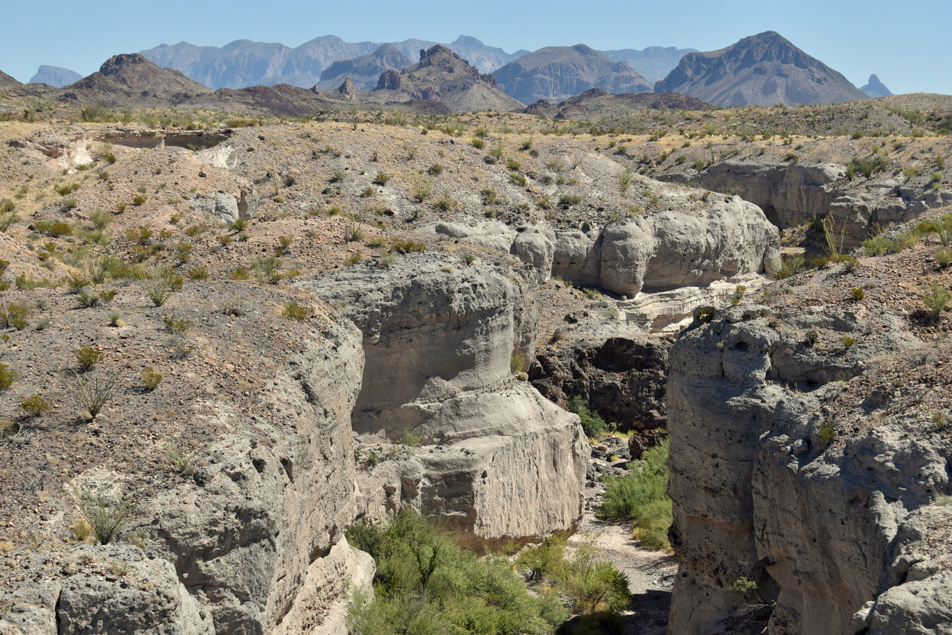 US15 0918 06 Ross Maxwell Scenic Drive, Big Bend NP, TX