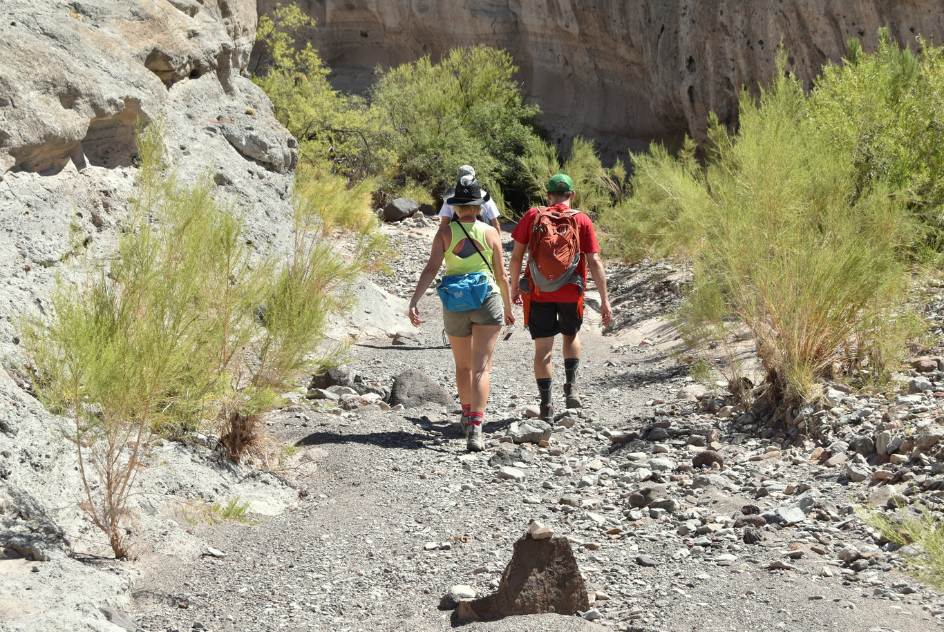 US15 0918 13 Ross Maxwell Scenic Drive, Big Bend NP, TX