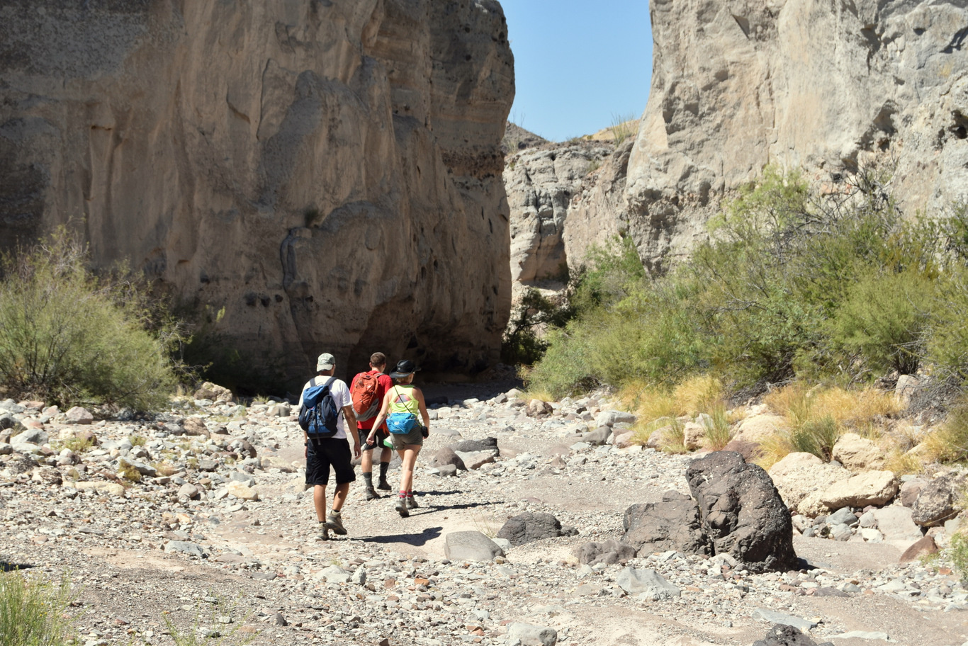 US15 0918 19 Ross Maxwell Scenic Drive, Big Bend NP, TX