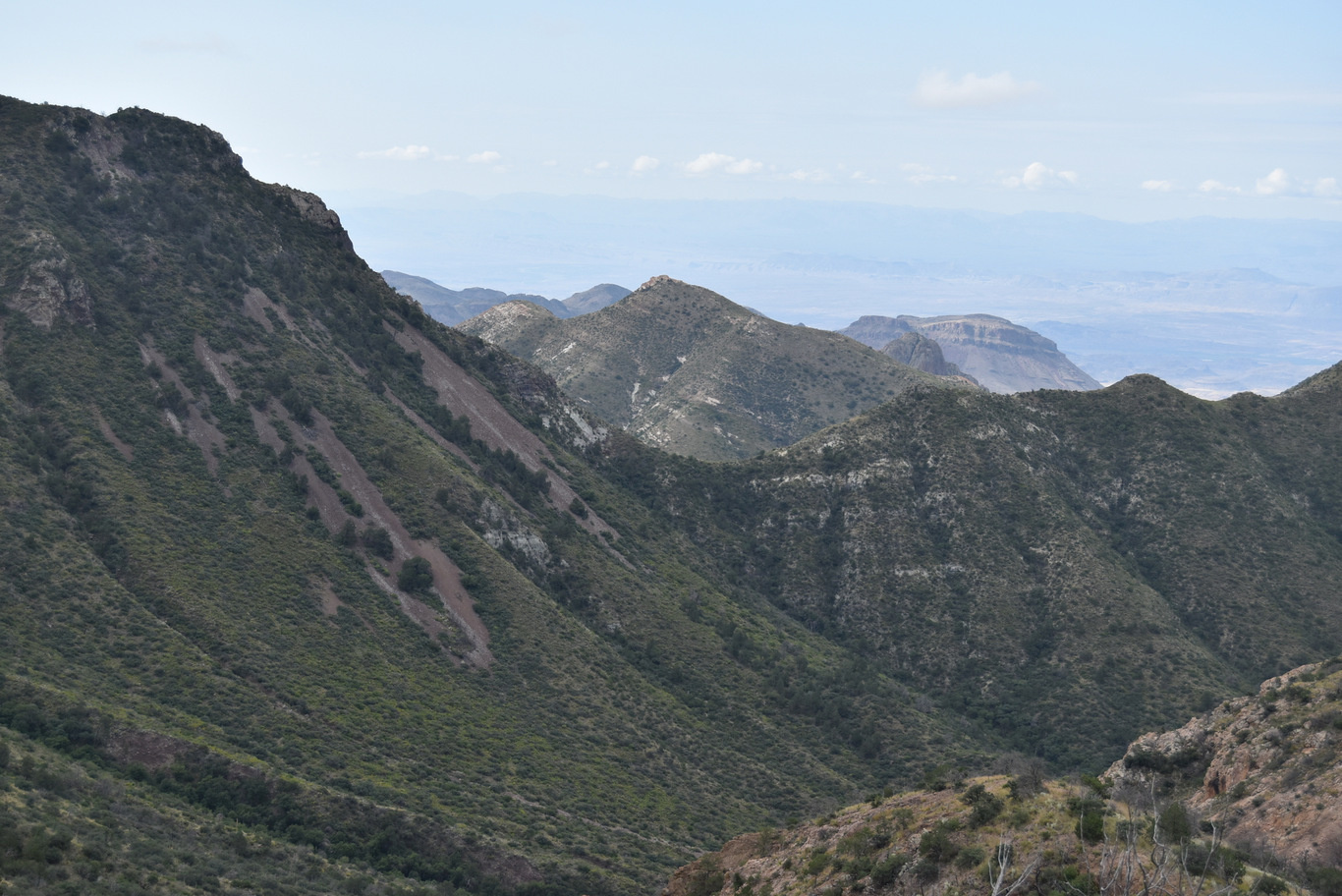 US15 0920 08 Chisos Mountain, Big Bend NP, TX