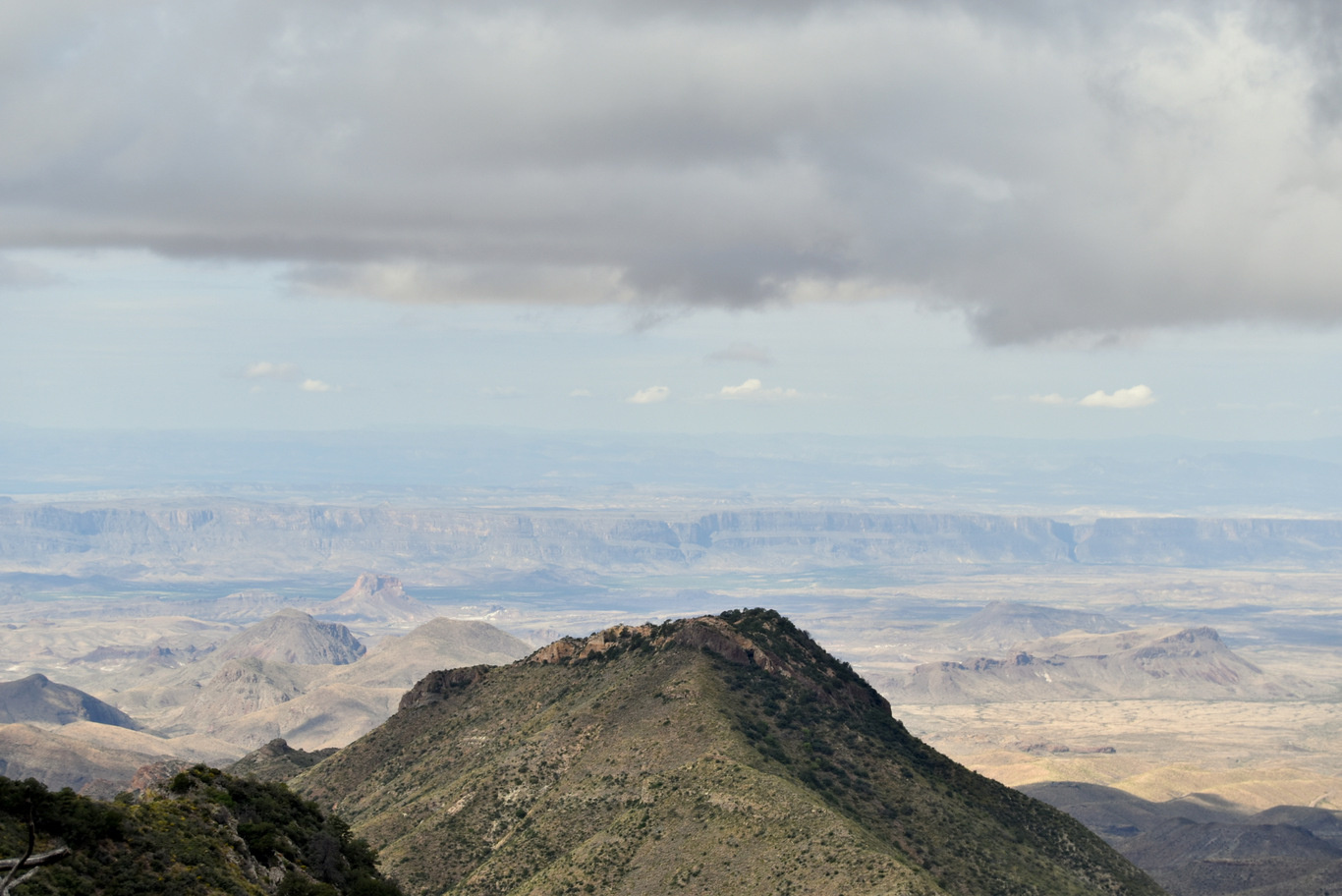 US15 0920 09 Chisos Mountain, Big Bend NP, TX