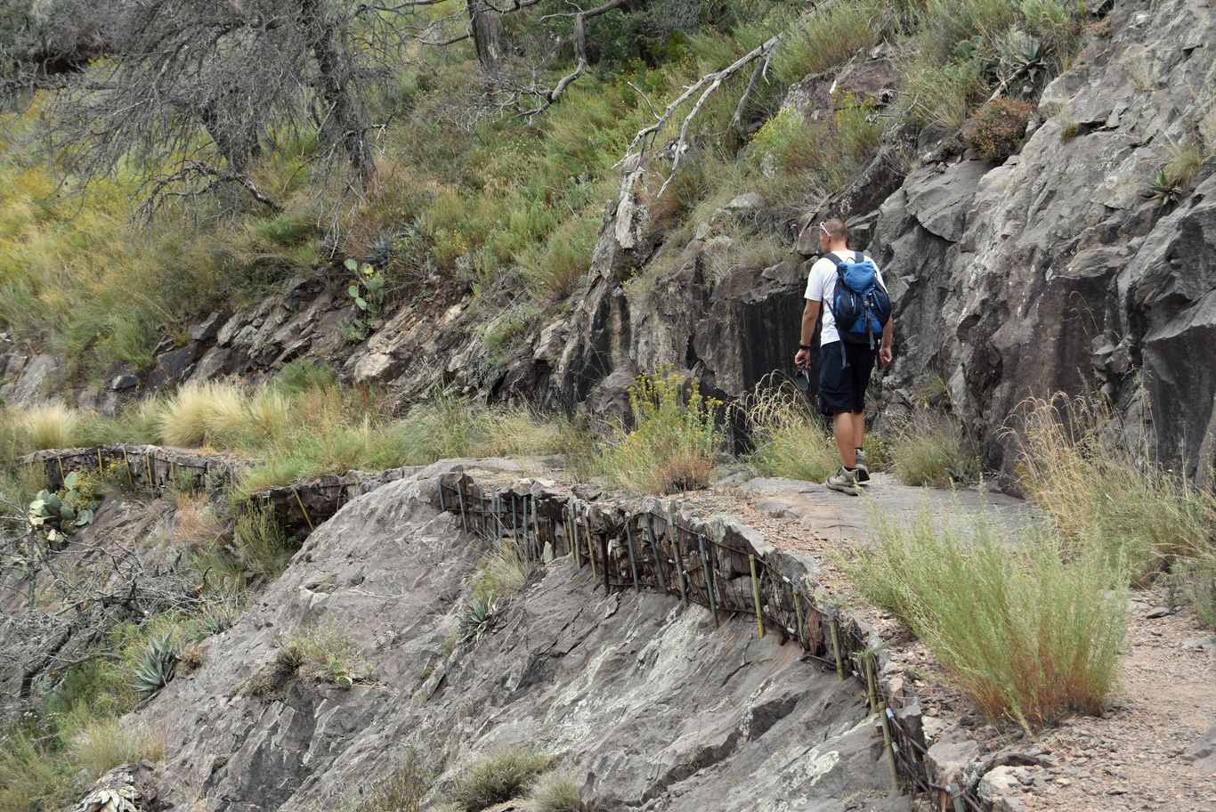 US15 0920 31 Chisos Mountain, Big Bend NP, TX