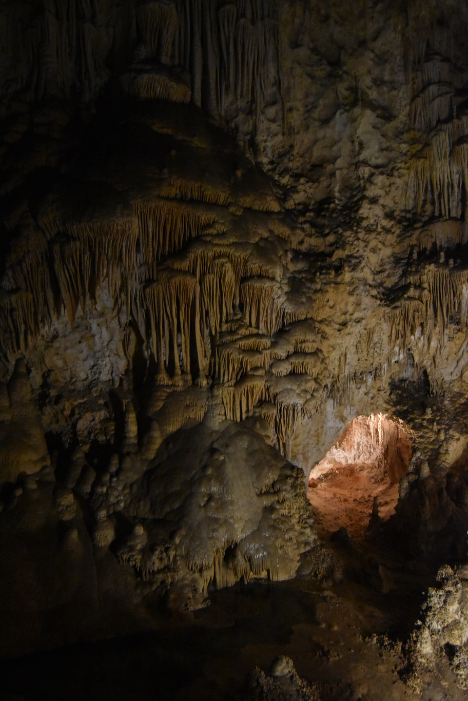 US15 0922 42 Carlsbad Caverns, NM