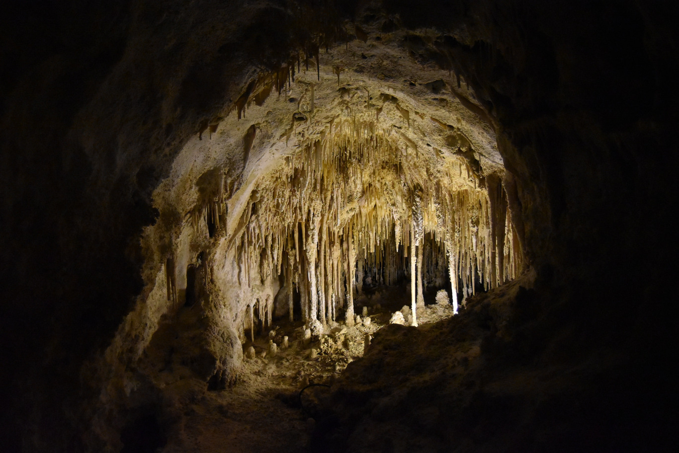 US15 0922 46 Carlsbad Caverns, NM