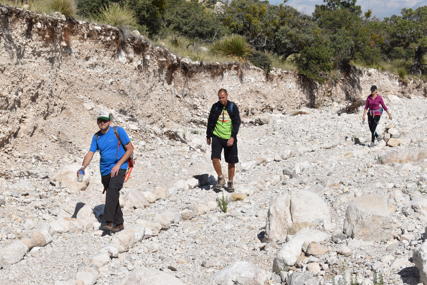 US15 0924 58 Guadalupe Mtns NP, TX