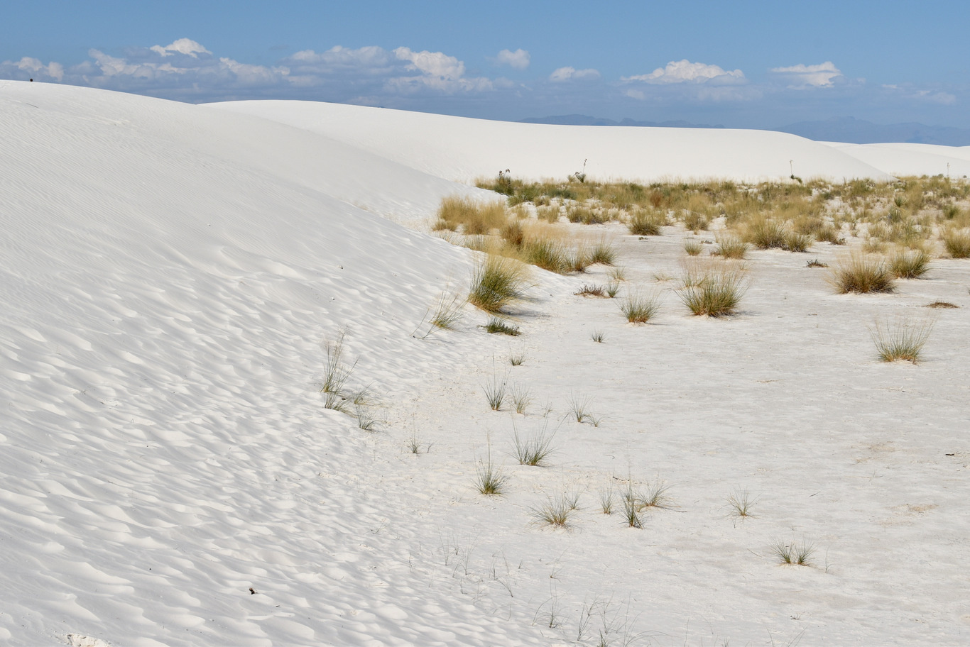 US15 0925 07 White Sands NM, NM