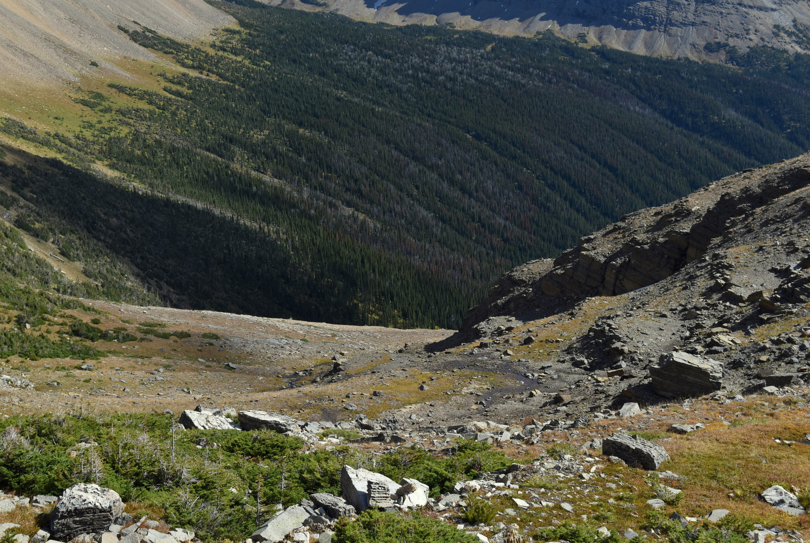 US160920 Glacier NP, MT 052