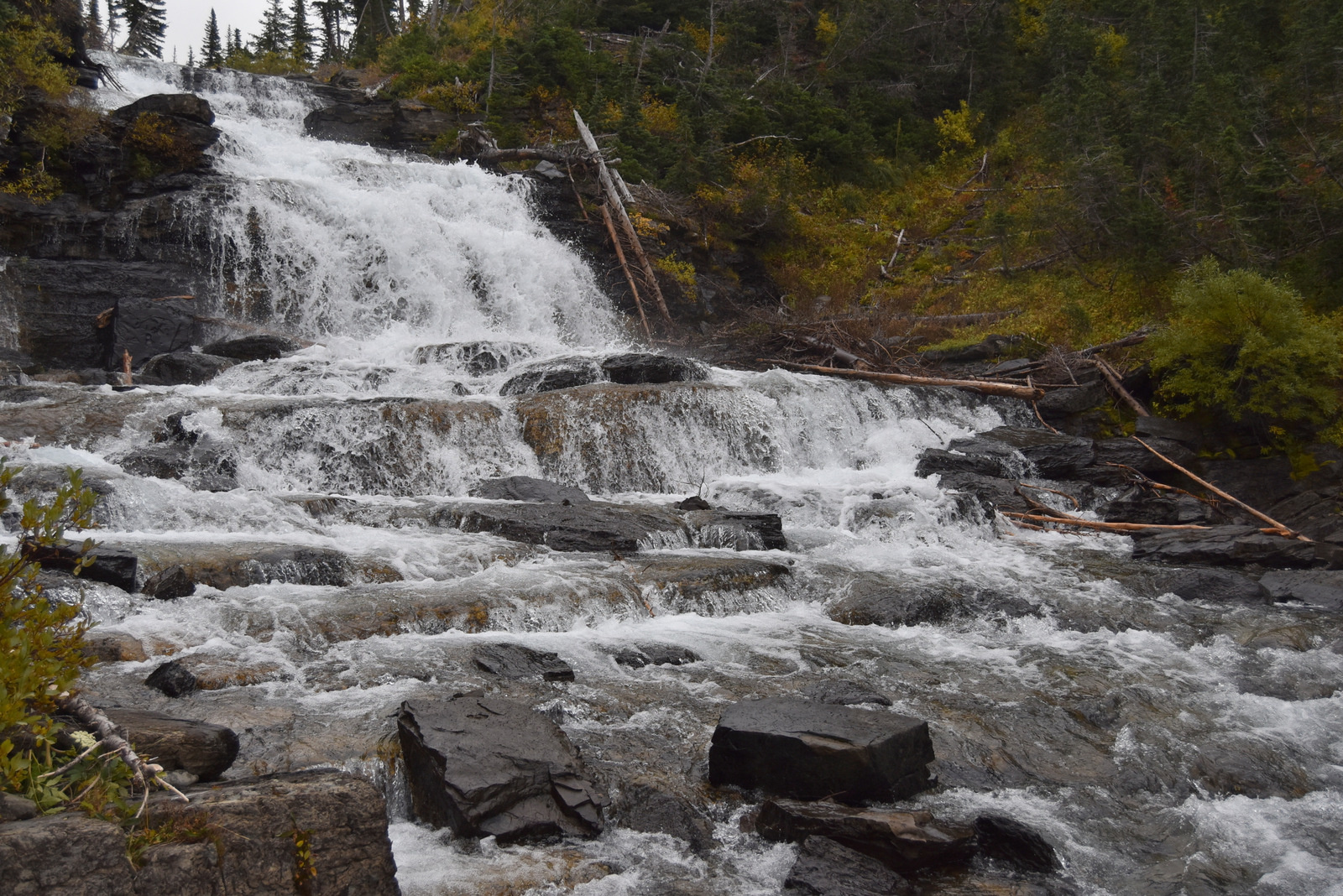 US160921 Glacier NP, MT 020