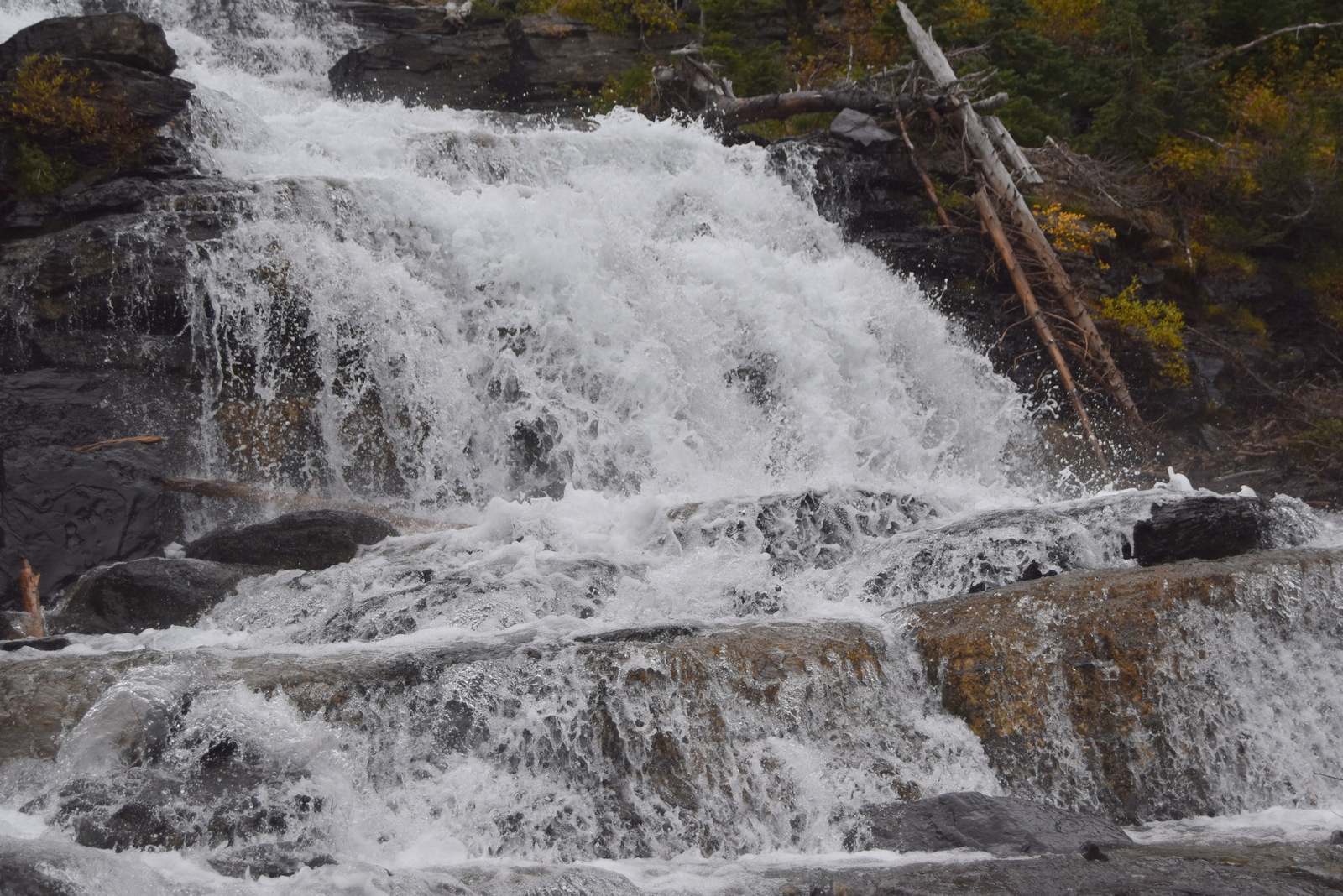 US160921 Glacier NP, MT 021