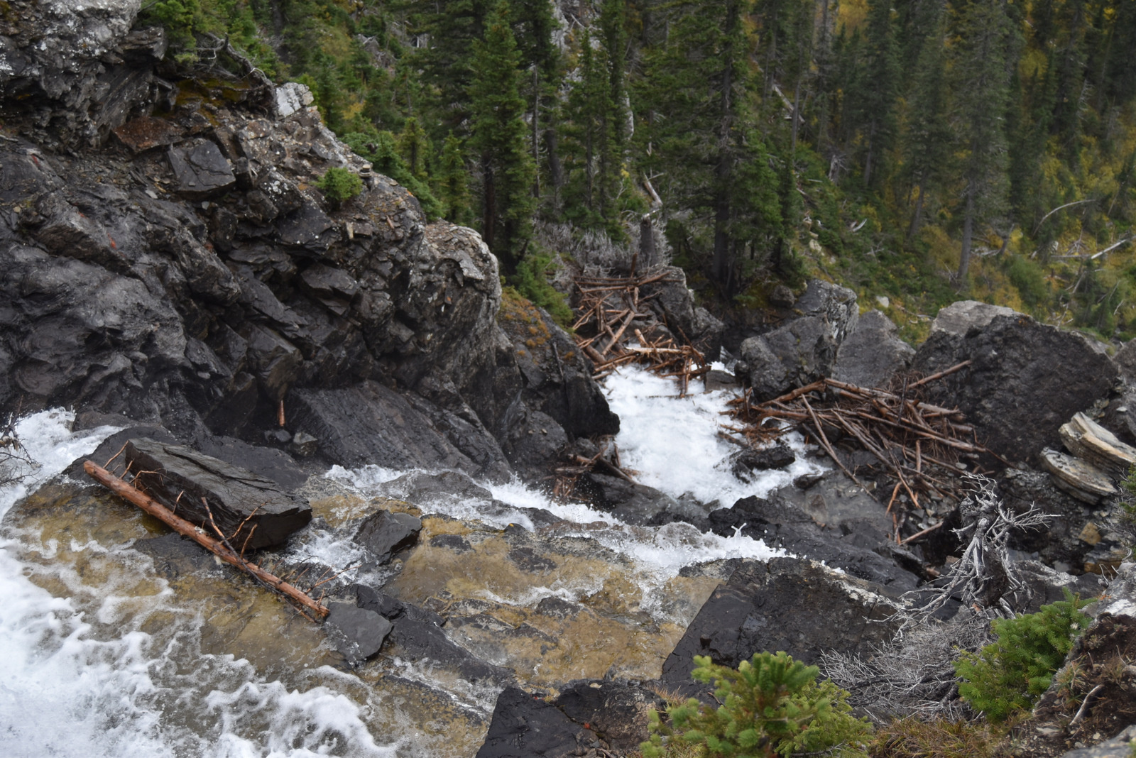 US160921 Glacier NP, MT 028