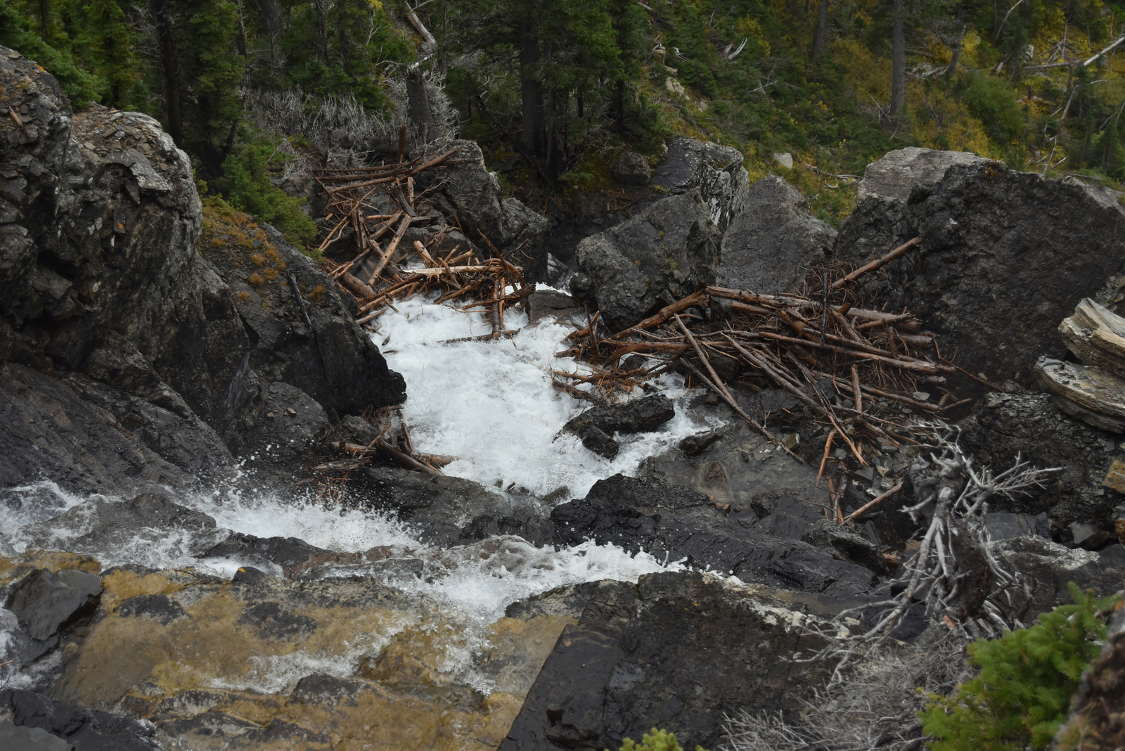 US160921 Glacier NP, MT 029