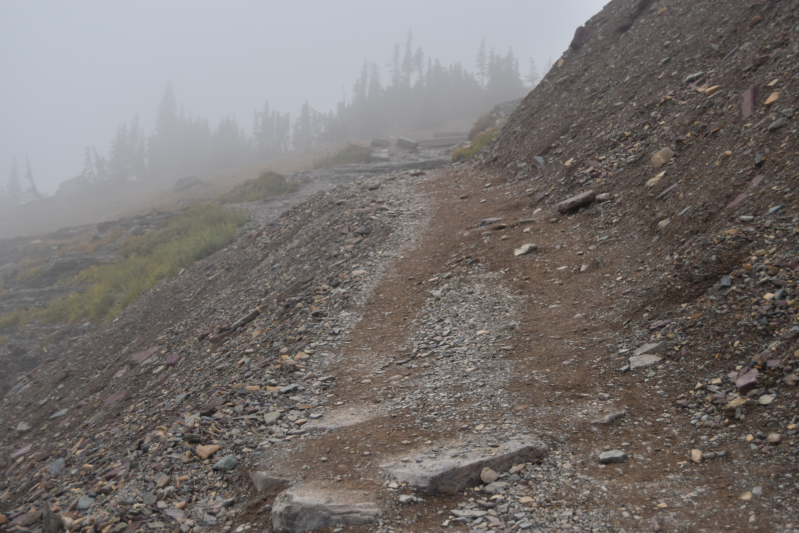 US160921 Glacier NP, MT 031