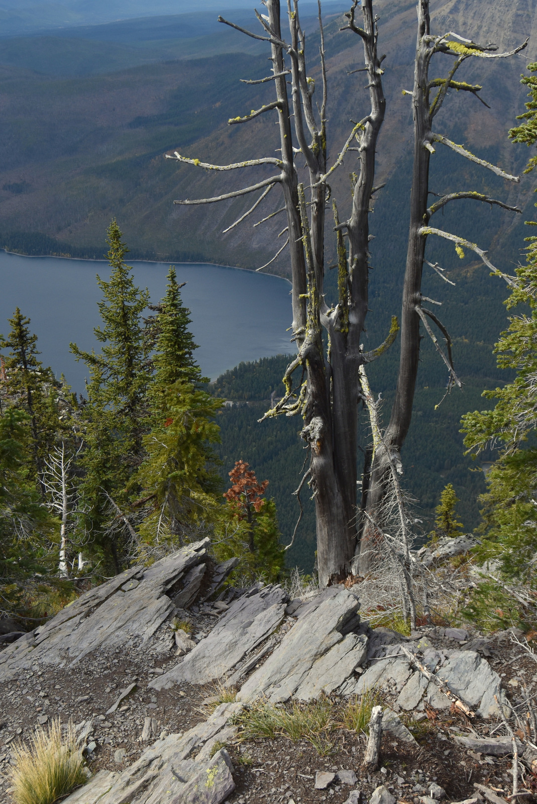 US160922 Glacier NP, MT 025