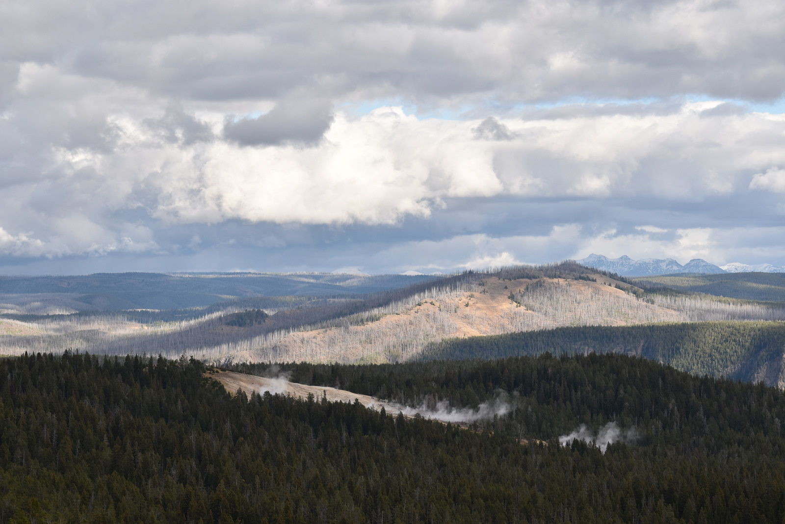 US160924 073 Yellowstone NP, WY