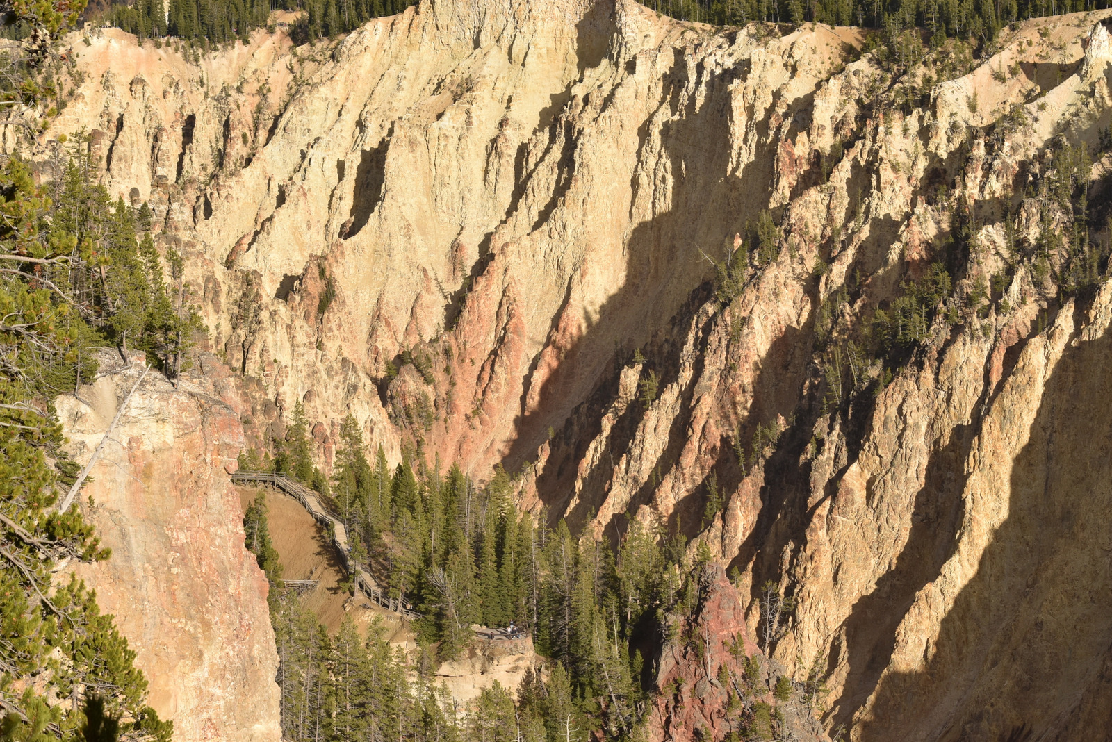 US160924 093 Yellowstone NP, WY