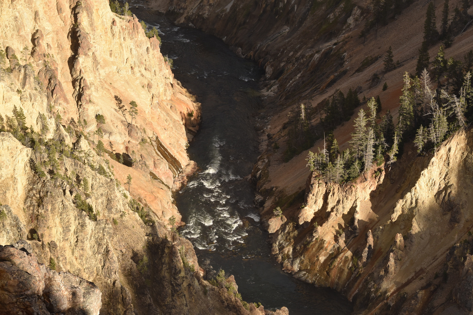 US160924 101 Yellowstone NP, WY