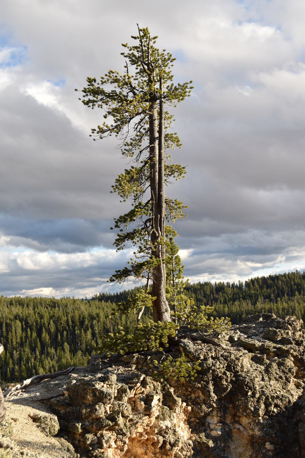 US160924 108 Yellowstone NP, WY