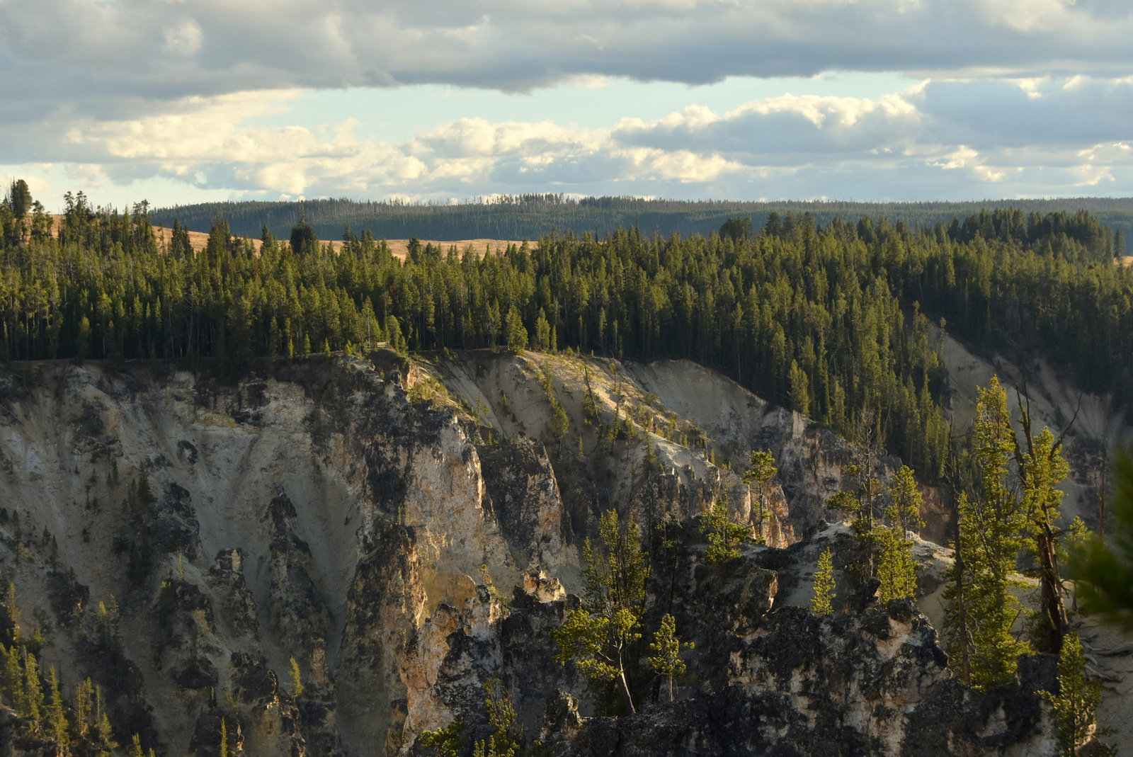 US160924 114 Yellowstone NP, WY