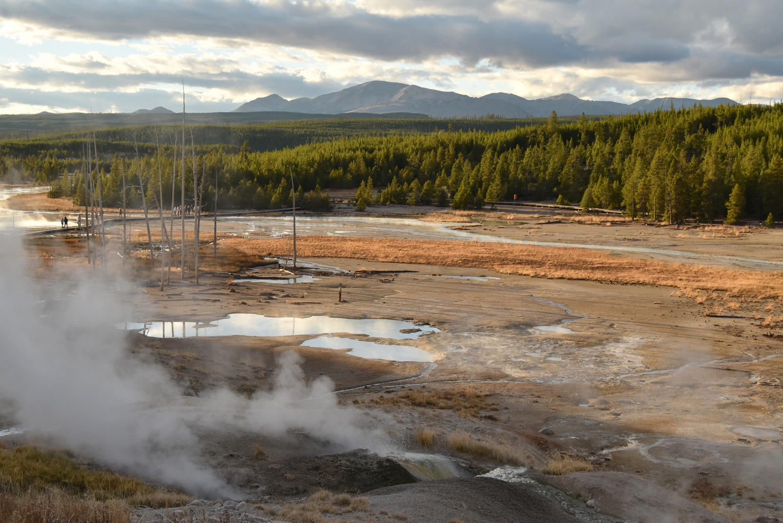 US160924 118 Yellowstone NP, WY