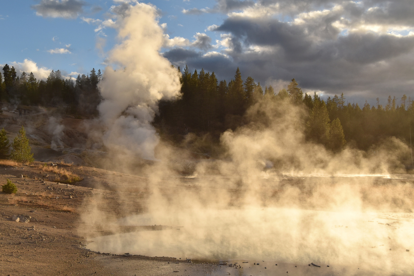 US160924 121 Yellowstone NP, WY