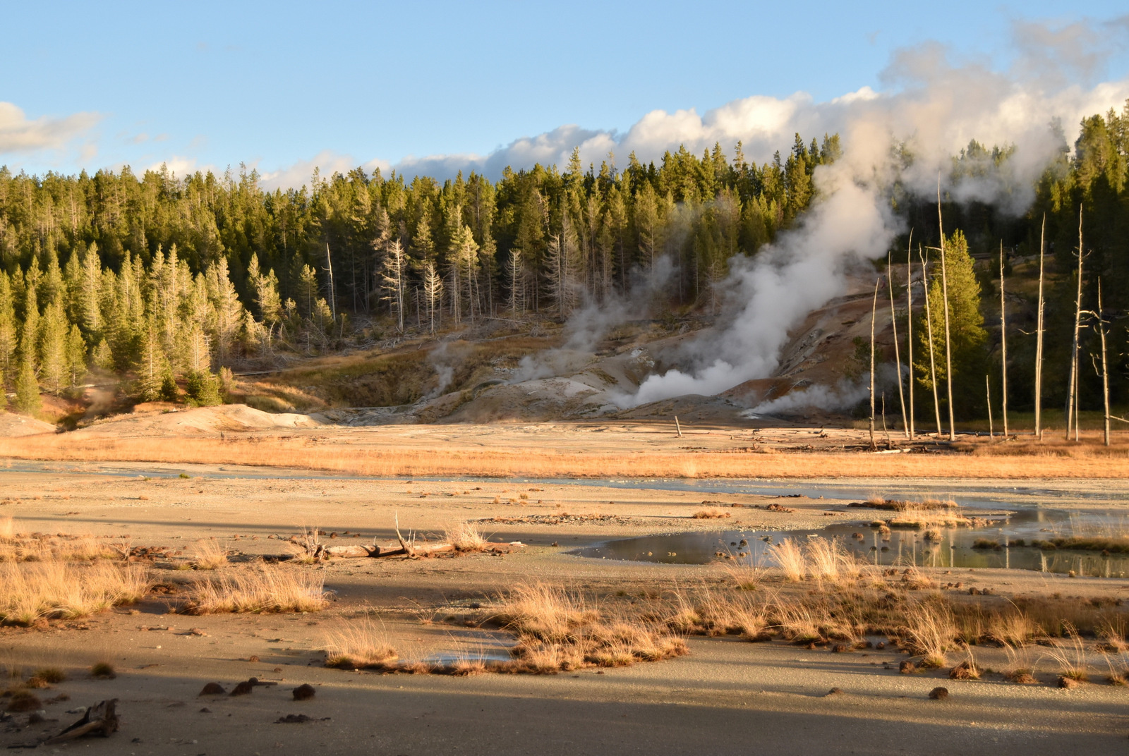 US160924 129 Yellowstone NP, WY