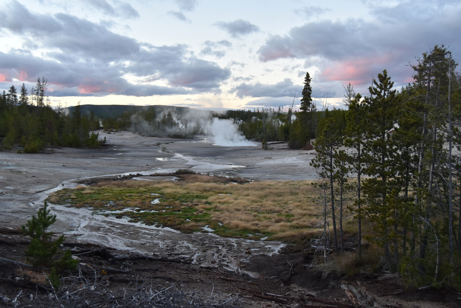 US160924 144 Yellowstone NP, WY