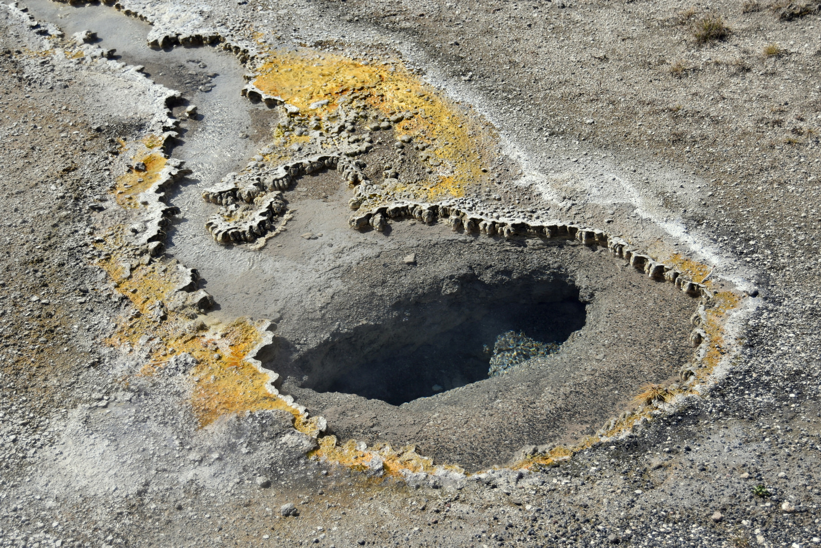 US160925 014 Yellowstone NP, WY