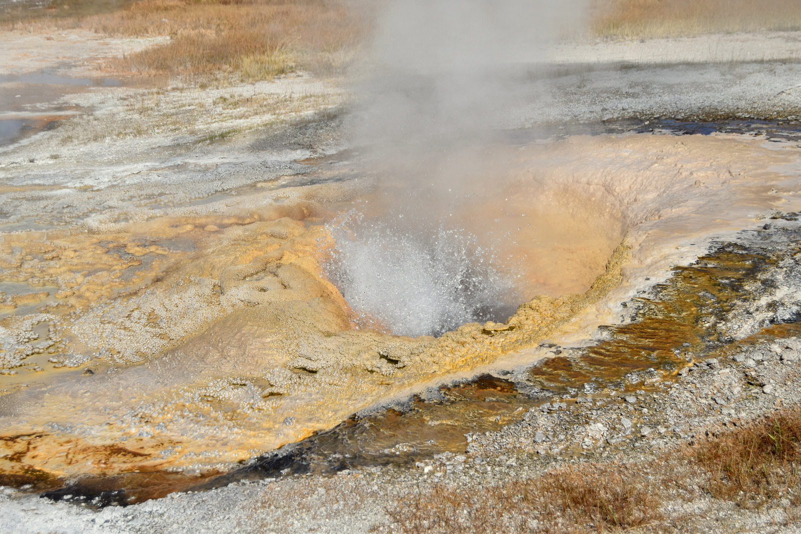 US160925 022 Yellowstone NP, WY