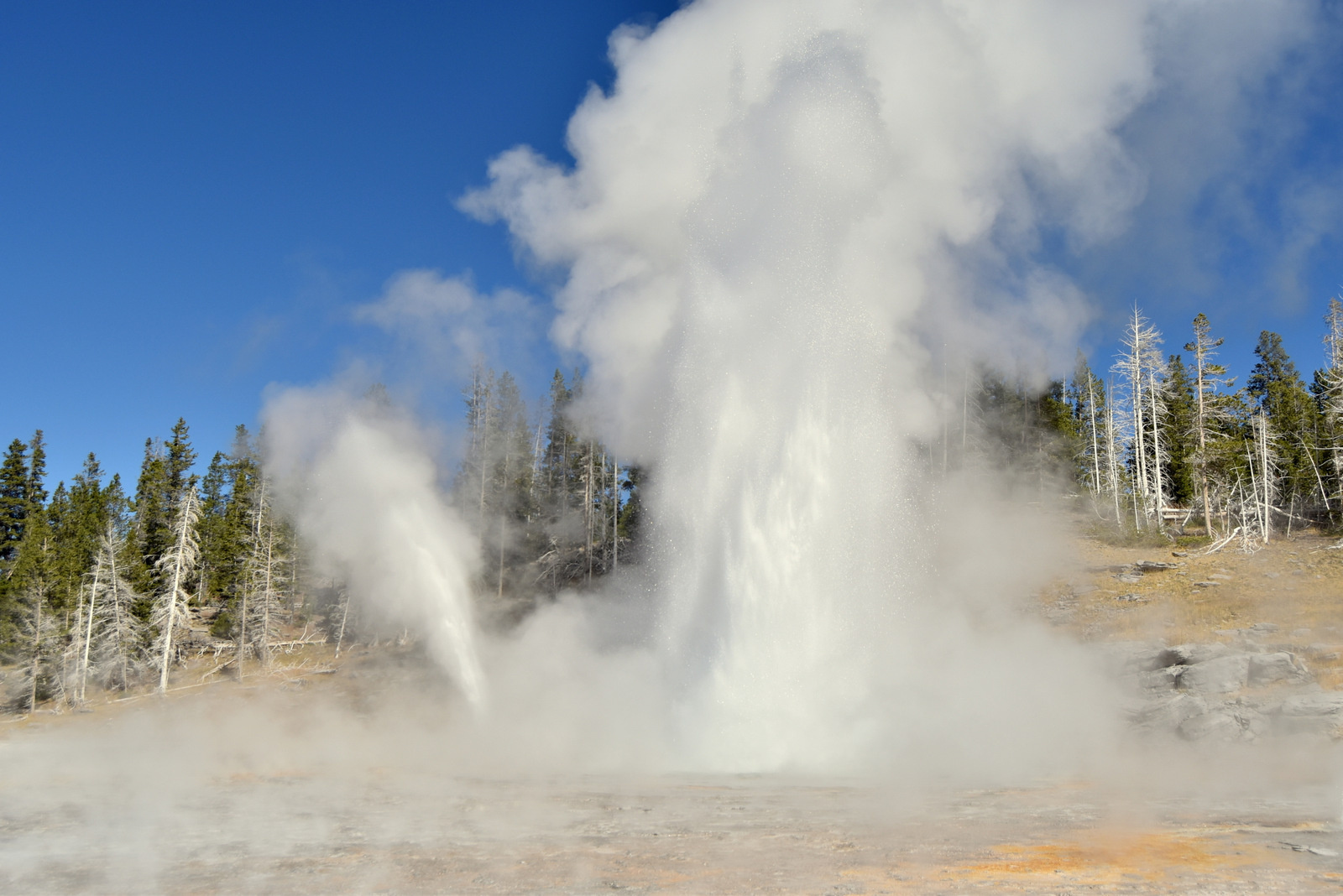 US160925 035 Yellowstone NP, WY