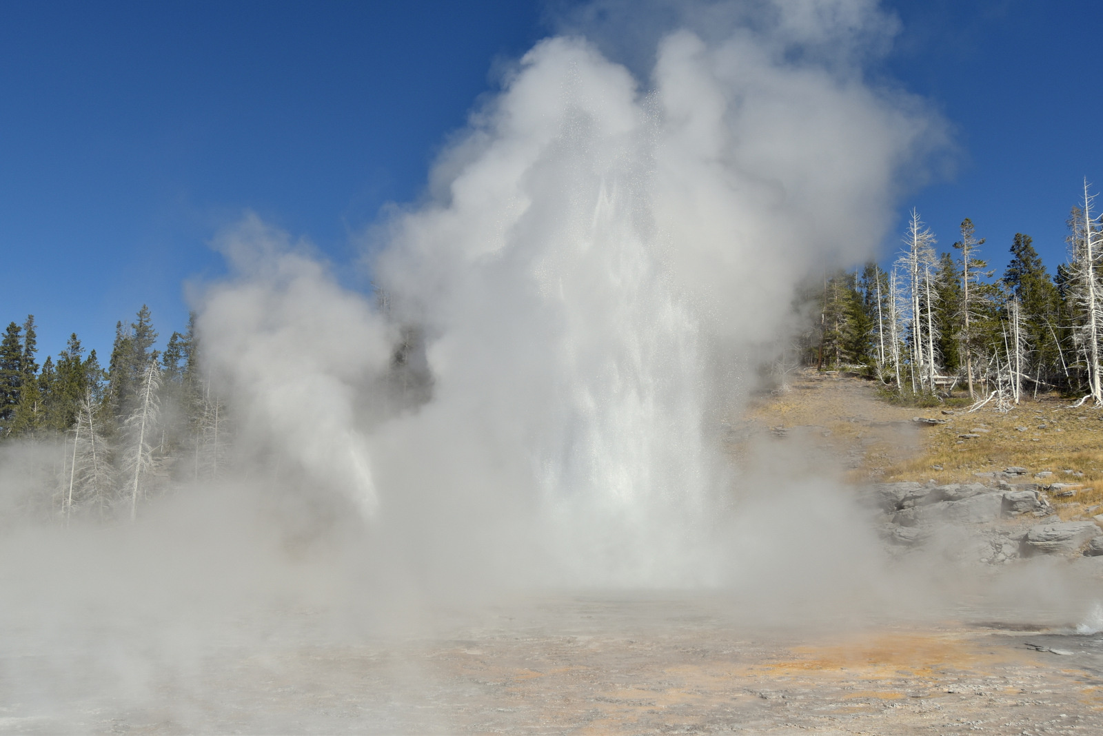 US160925 036 Yellowstone NP, WY