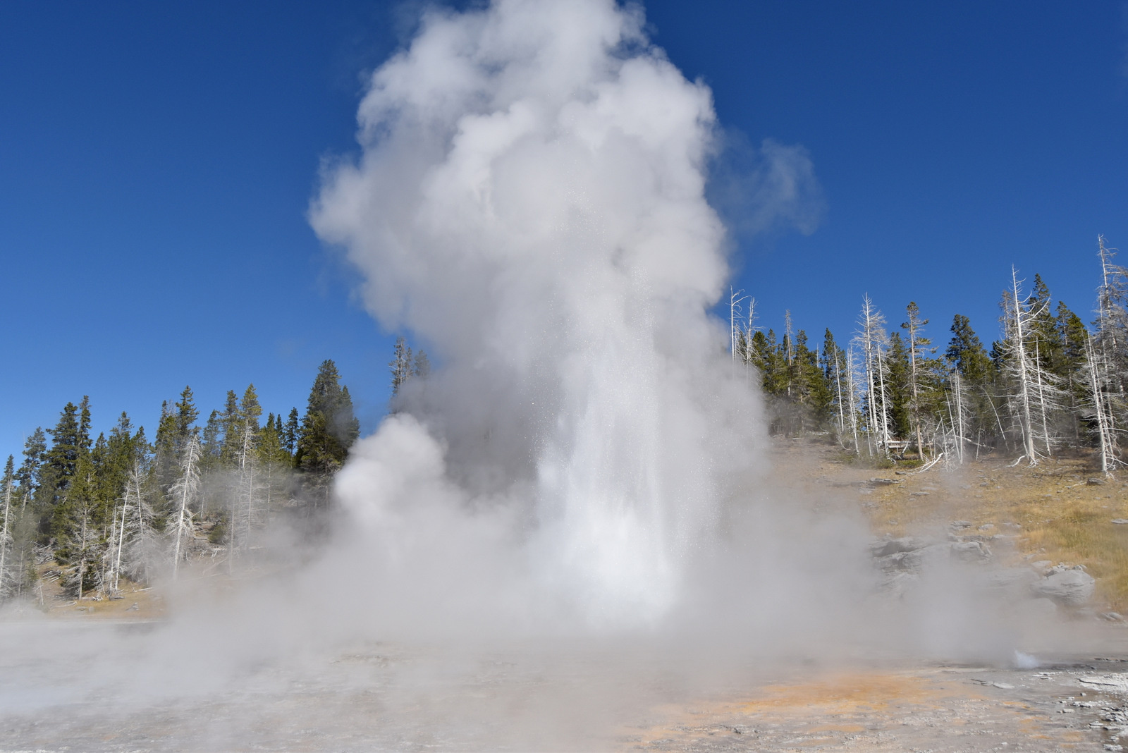 US160925 038 Yellowstone NP, WY