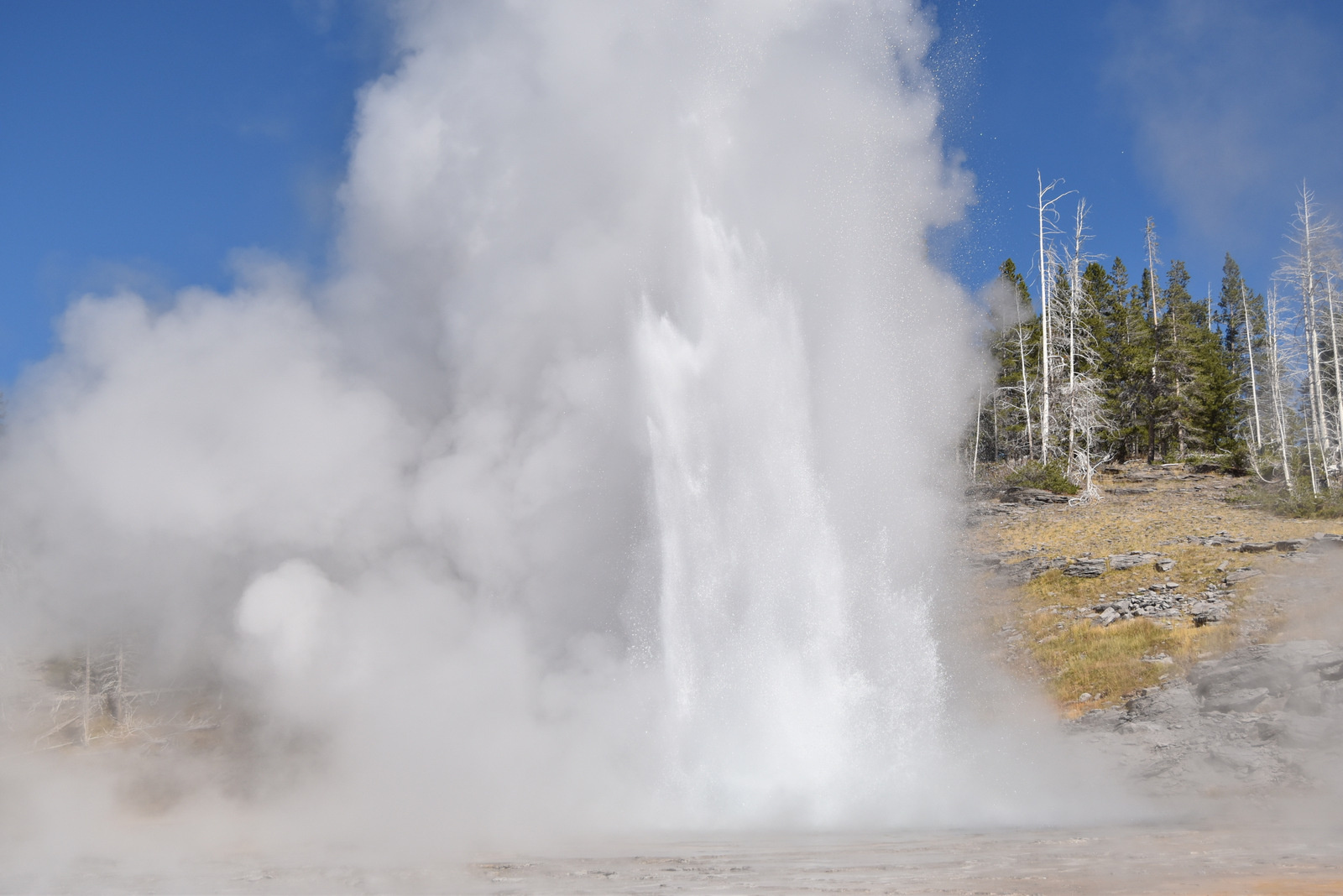 US160925 043 Yellowstone NP, WY