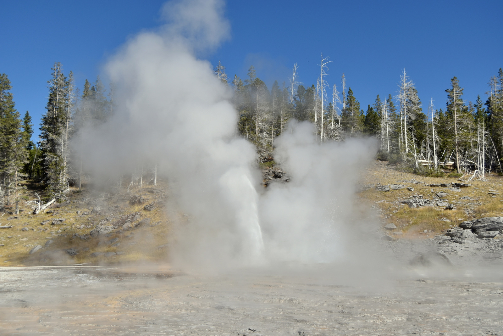 US160925 046 Yellowstone NP, WY