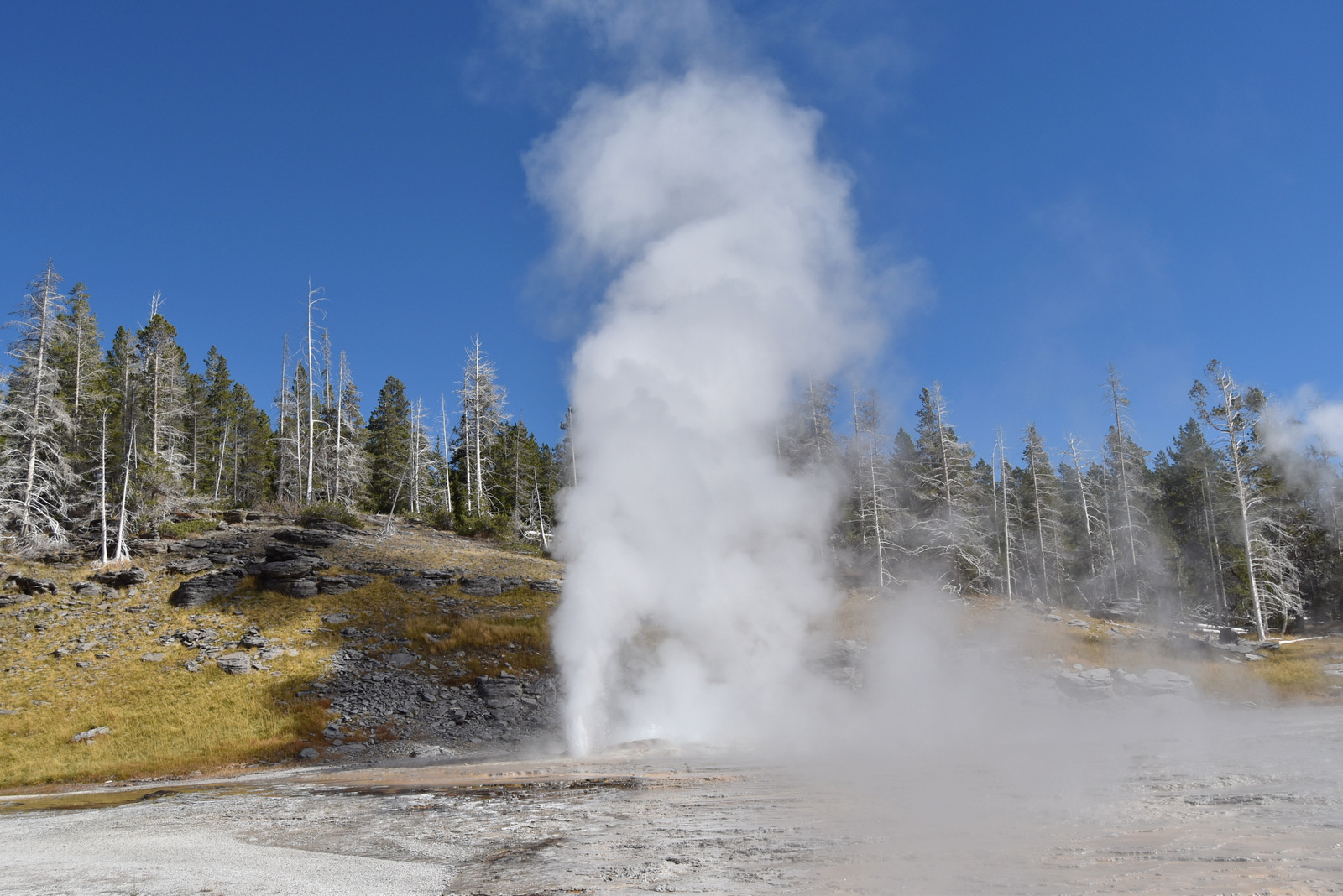 US160925 050 Yellowstone NP, WY