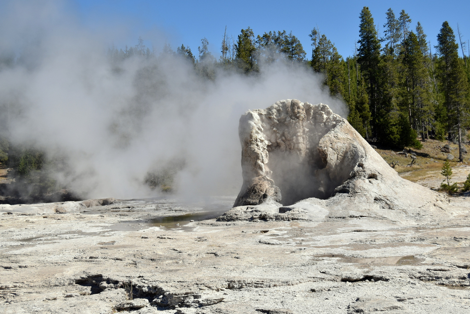 US160925 051 Yellowstone NP, WY