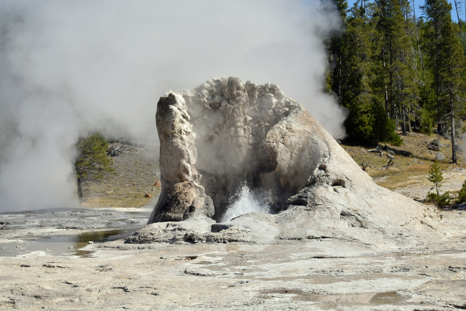 US160925 053 Yellowstone NP, WY