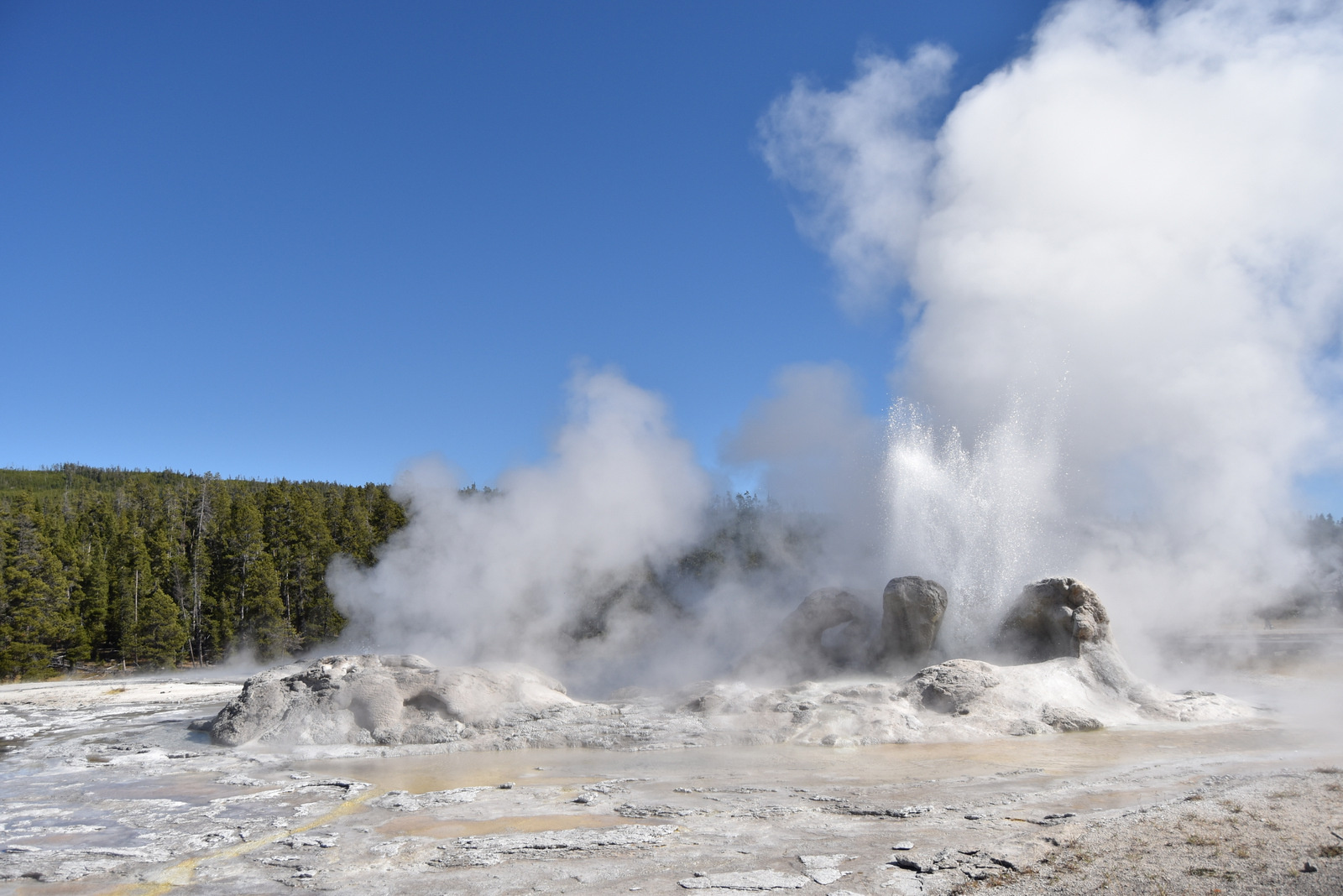 US160925 059 Yellowstone NP, WY