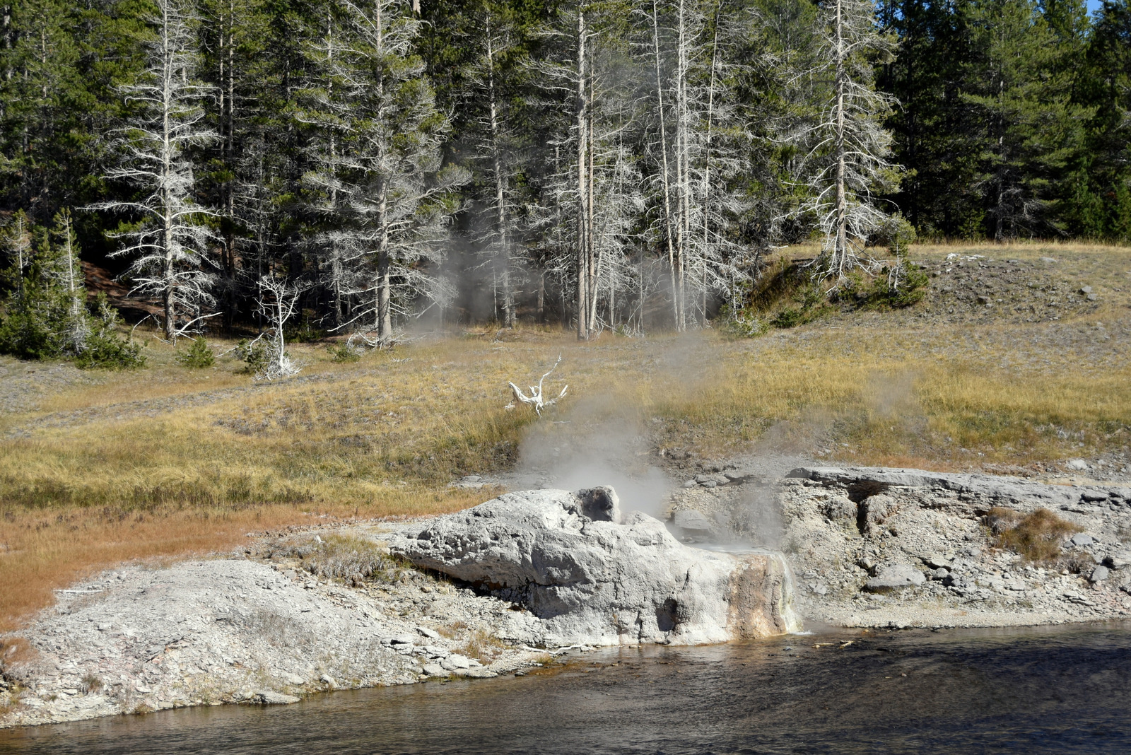 US160925 062 Yellowstone NP, WY