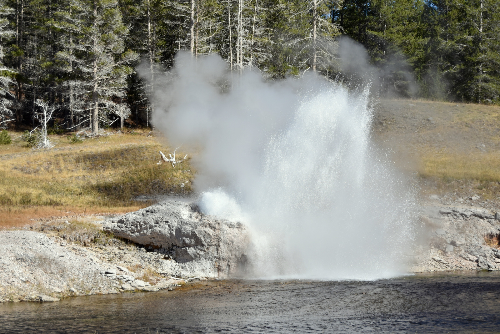 US160925 063 Yellowstone NP, WY