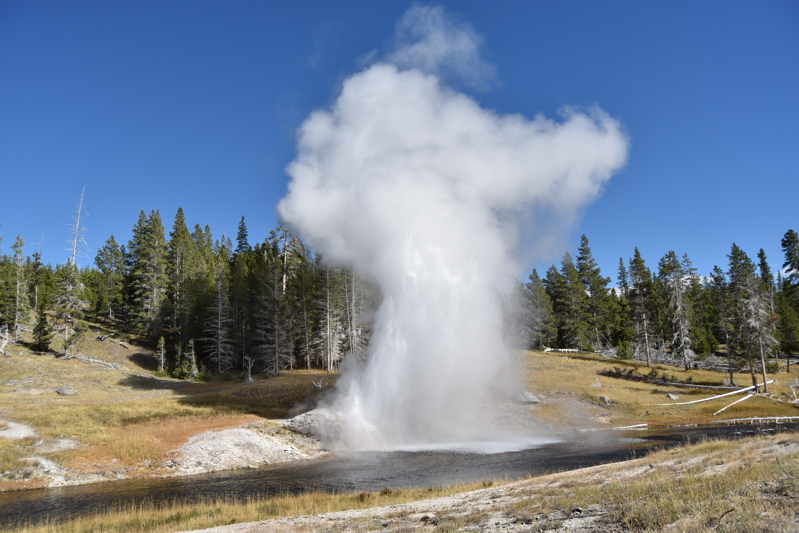 US160925 067 Yellowstone NP, WY