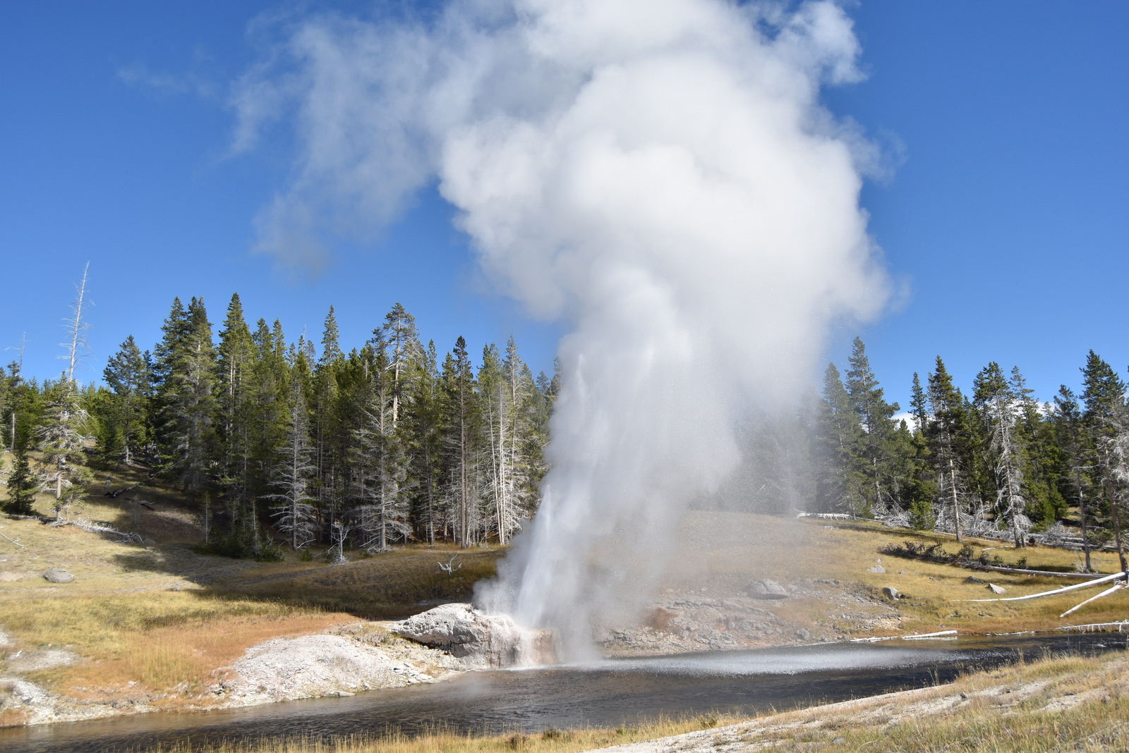 US160925 070 Yellowstone NP, WY