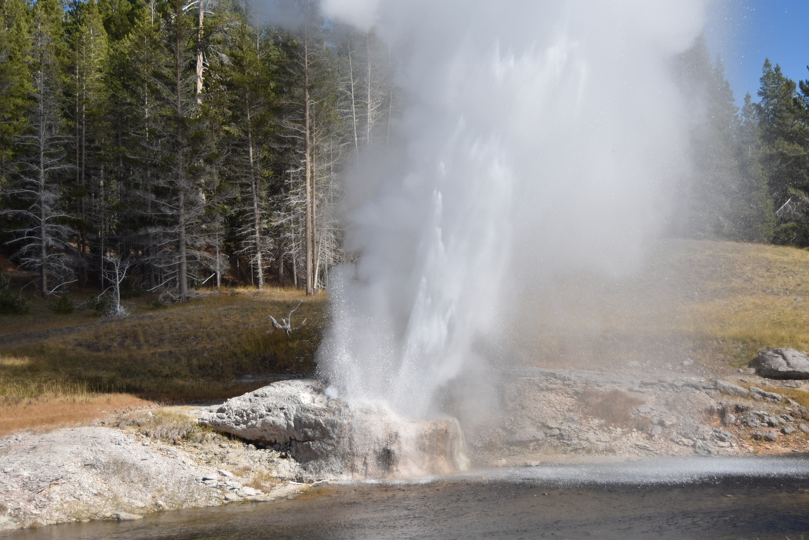 US160925 071 Yellowstone NP, WY