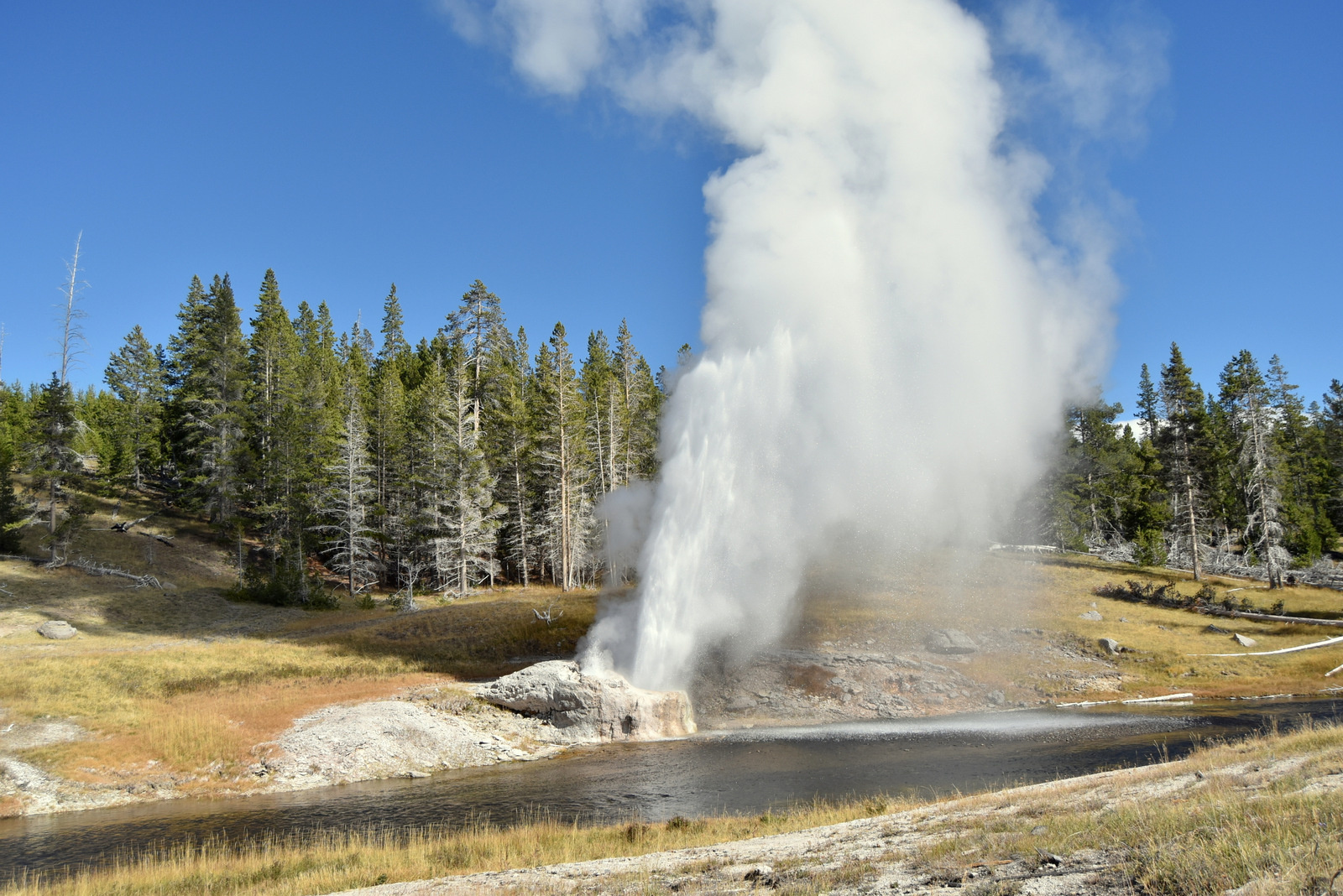 US160925 073 Yellowstone NP, WY