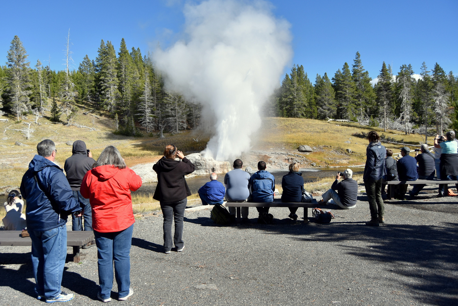 US160925 075 Yellowstone NP, WY