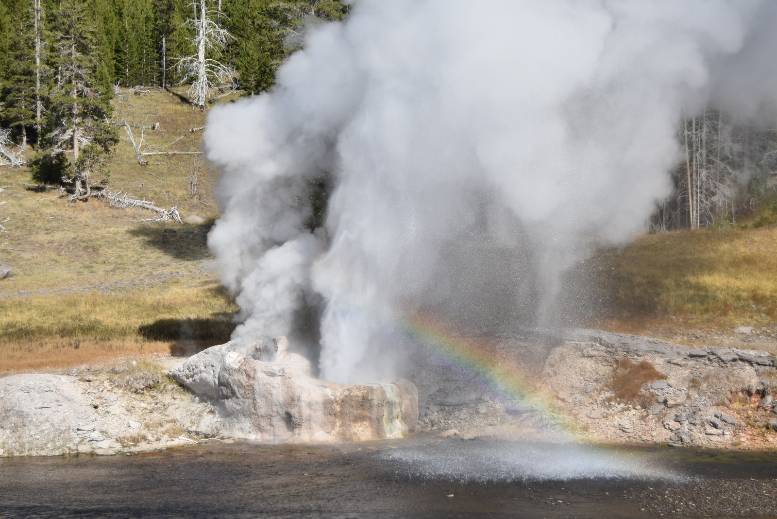 US160925 084 Yellowstone NP, WY